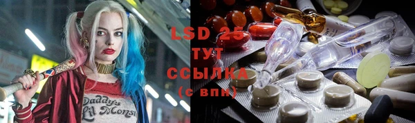 spice Инта