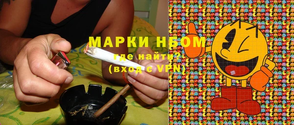 кокс Инсар