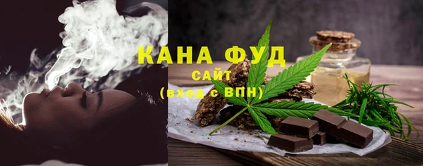 spice Инта