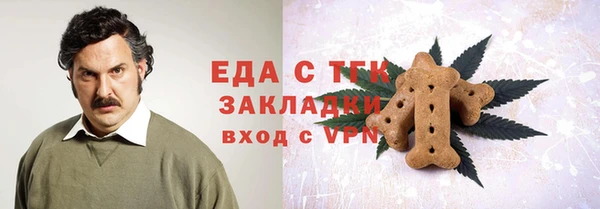 spice Инта