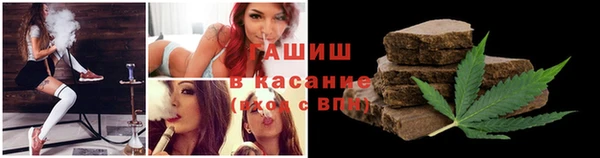 spice Инта