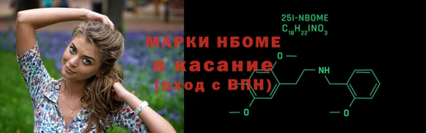 spice Инта