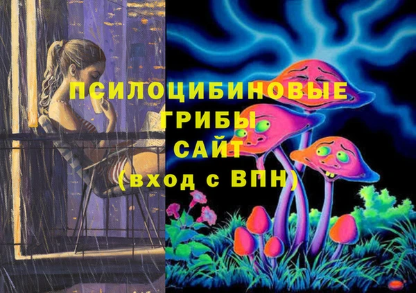 соль курить ск Иннополис