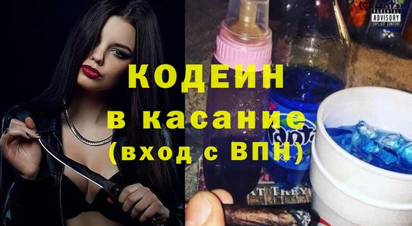 spice Инта