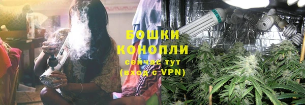spice Инта