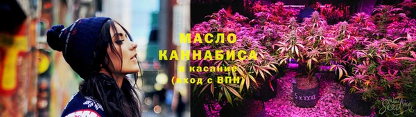 spice Инта
