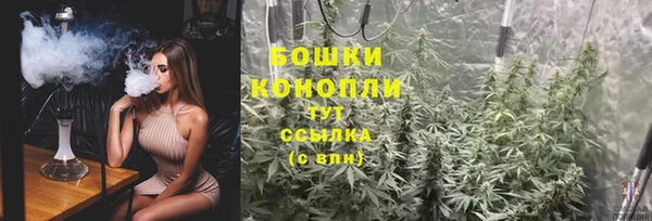 кокс Инсар