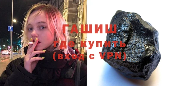 spice Инта