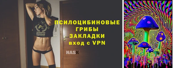 кокс Инсар
