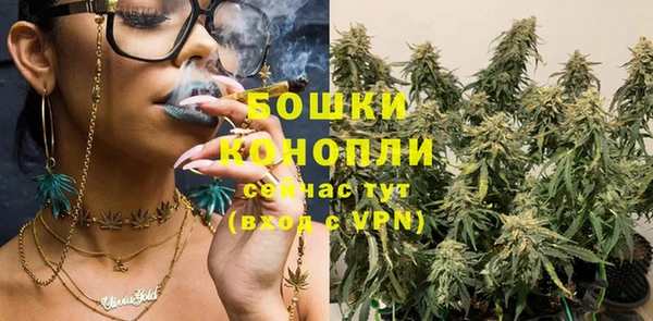 spice Инта