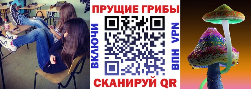 Псилоцибиновые грибы Magic Shrooms  Купить где  Зея 